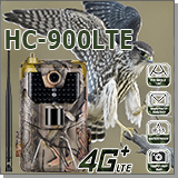Фотоловушка Филин HC-900LTE-4G